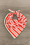 Candy Cane Stripe Family Pajamas - AND PET BANDANA! - Sparkle in Pink