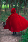 Red Riding Hood Costume - Sparkle in Pink