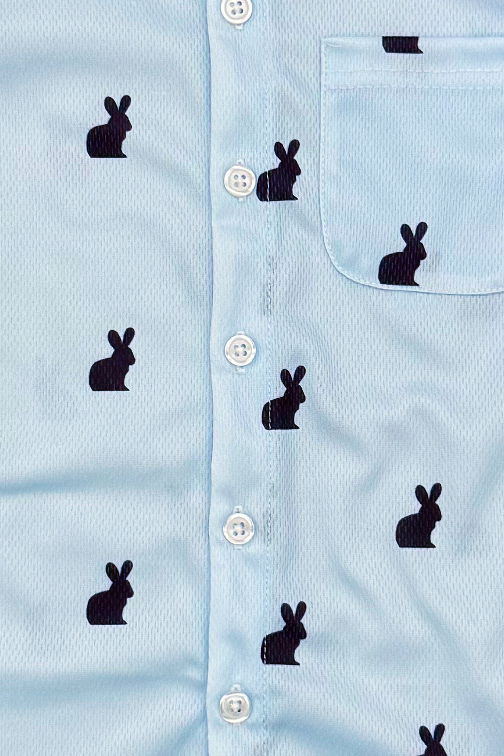 Blue Bunny Button Down | Sparkle in Pink