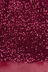 Sparkle Plush Sequin Long Sleeve Dress - Green / 6-12 Months - Burgundy long sleeve dress covered in densely packed sparkling sequins with a textured plush fabric base.