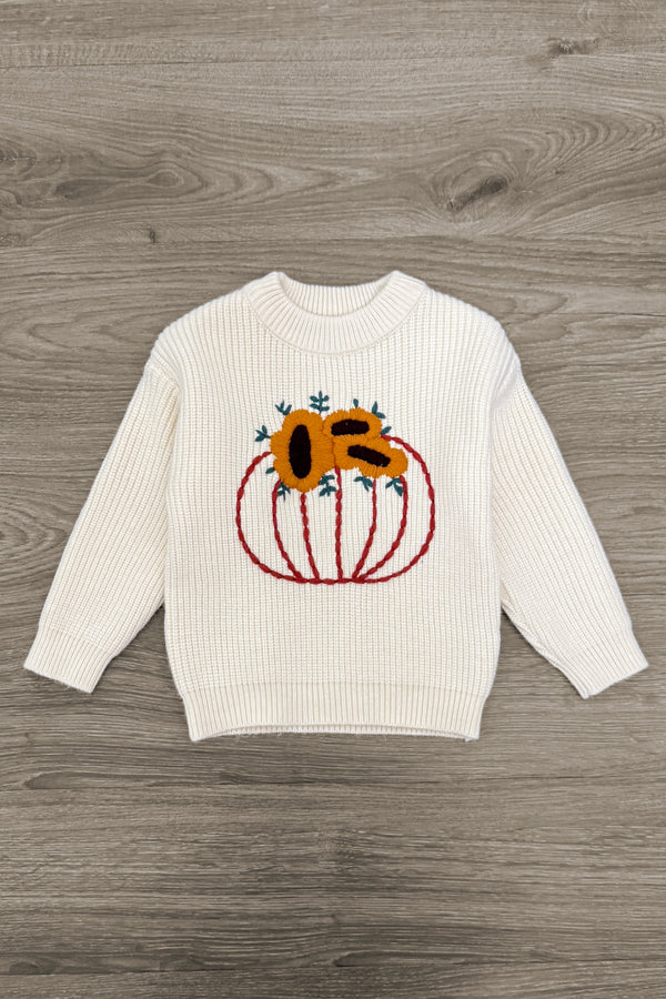 Knit Pumpkin Sweater Flare Denim Set | Sparkle in Pink