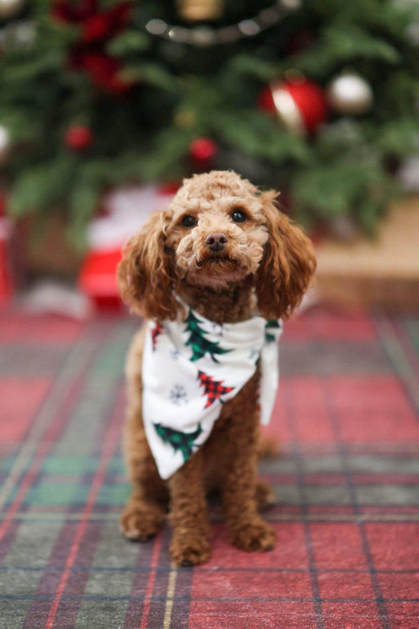 Festive Winter Trees Family Pajama Set - AND PET BANDANA! | Sparkle in Pink