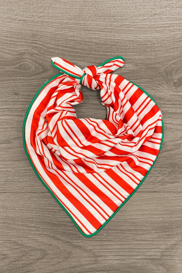 Candy Cane Stripe Family Pajamas - AND PET BANDANA! - Sparkle in Pink